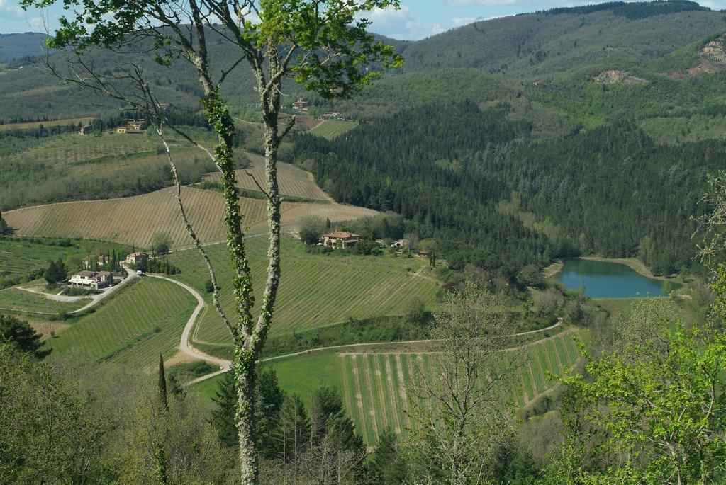 Agriturismo Vinci غايولي إن كيانتي المظهر الخارجي الصورة